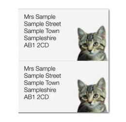 Direct Mail Personalised Stickers